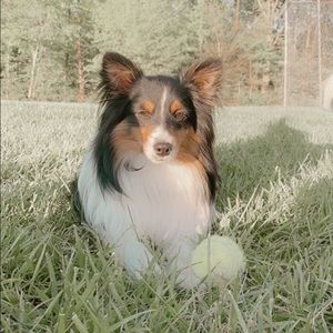 Meet your Posher, Grace